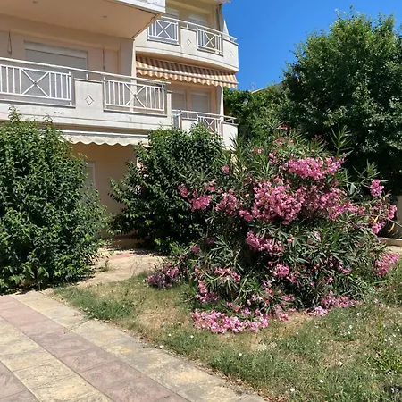 Utopia Kallithea (Chalkidiki)